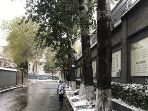 小雪：阴冷晦暗，君子当温补驱寒、调畅精神