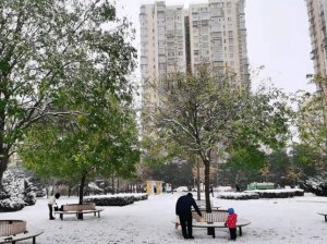 Сѩˣ6㣬첻